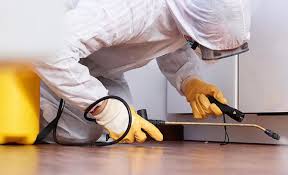 Best Pest Control for Multi-Family Homes  in Thomaston, NY